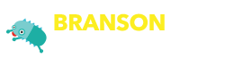 Branson Webcam Logo