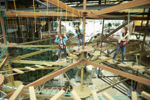 Syracuse Ropes Course WonderWorks Destiny