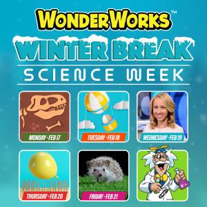 Syracuse Winter Break Science Week
