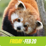 WWSyracuse Science Week Animal Wonders Icon