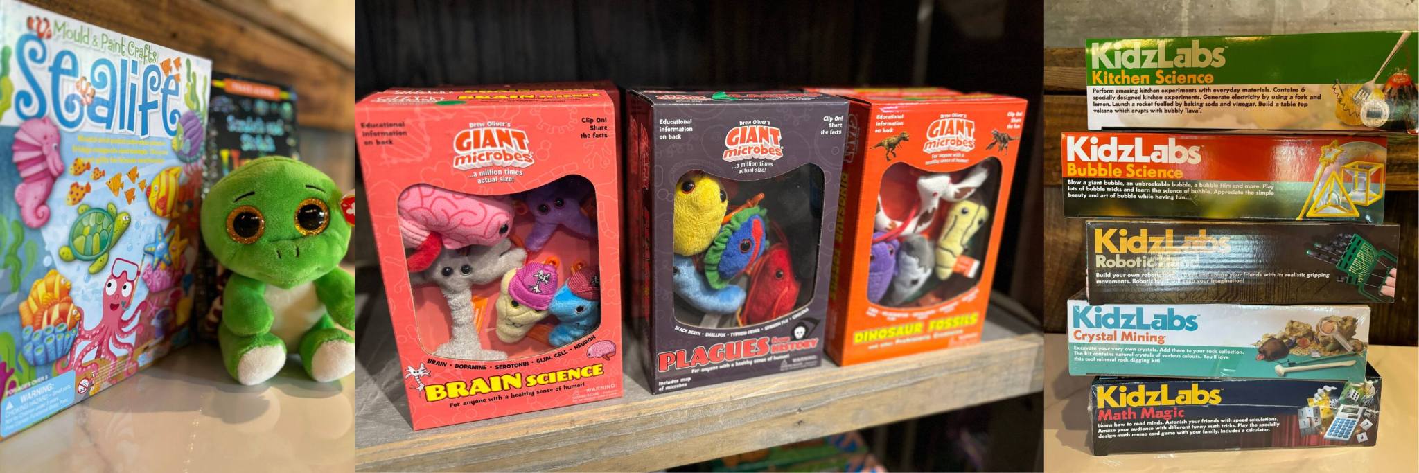 Gift Ideas - Science Experiments, Science Toys